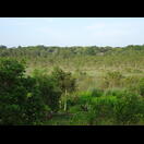 Der Blick Richtung Inland